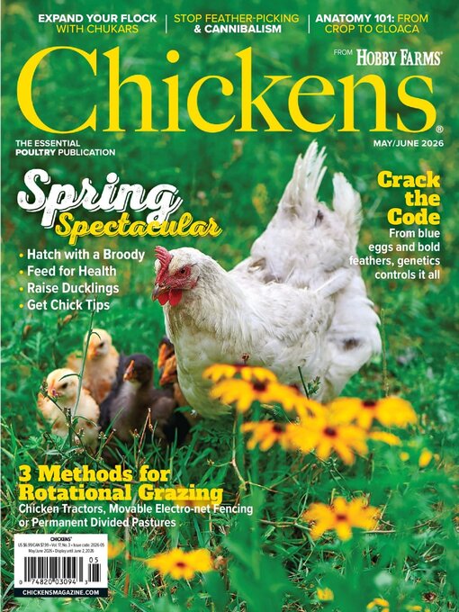 Cover image for Chickens